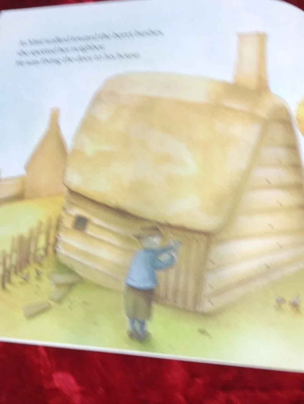 Children's Book 